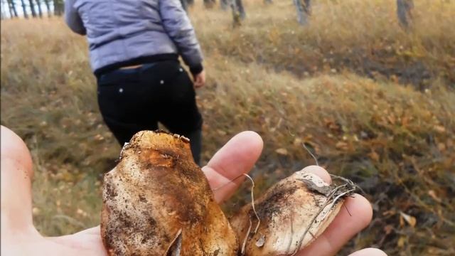 Смоленское - Бийск смотреть онлайн