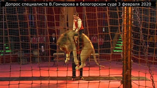 Допрос специалиста Владислава Гончарова в белогорском суде 3 февраля смотреть онлайн