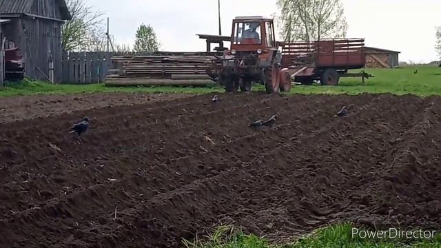 Самодельный окучник для трактора Т-25. Нарезка гребней под посадку картофеля смотреть онлайн