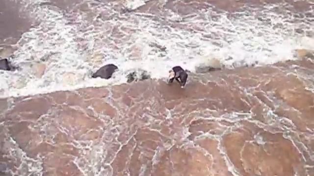 Ловля рыбы на переливной плотине. р. Луашима 2012 смотреть онлайн