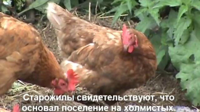 Топонимика видео смотреть онлайн