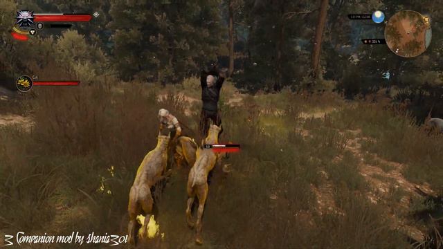 The Witcher 3 Mods #17: 3 Companion mod & Swords Lion and Eagle смотреть онлайн