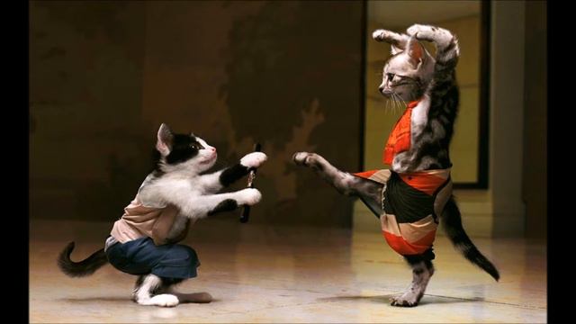 THE CAT DUET (ROSSINI) for Bariton and Bass :) смотреть онлайн