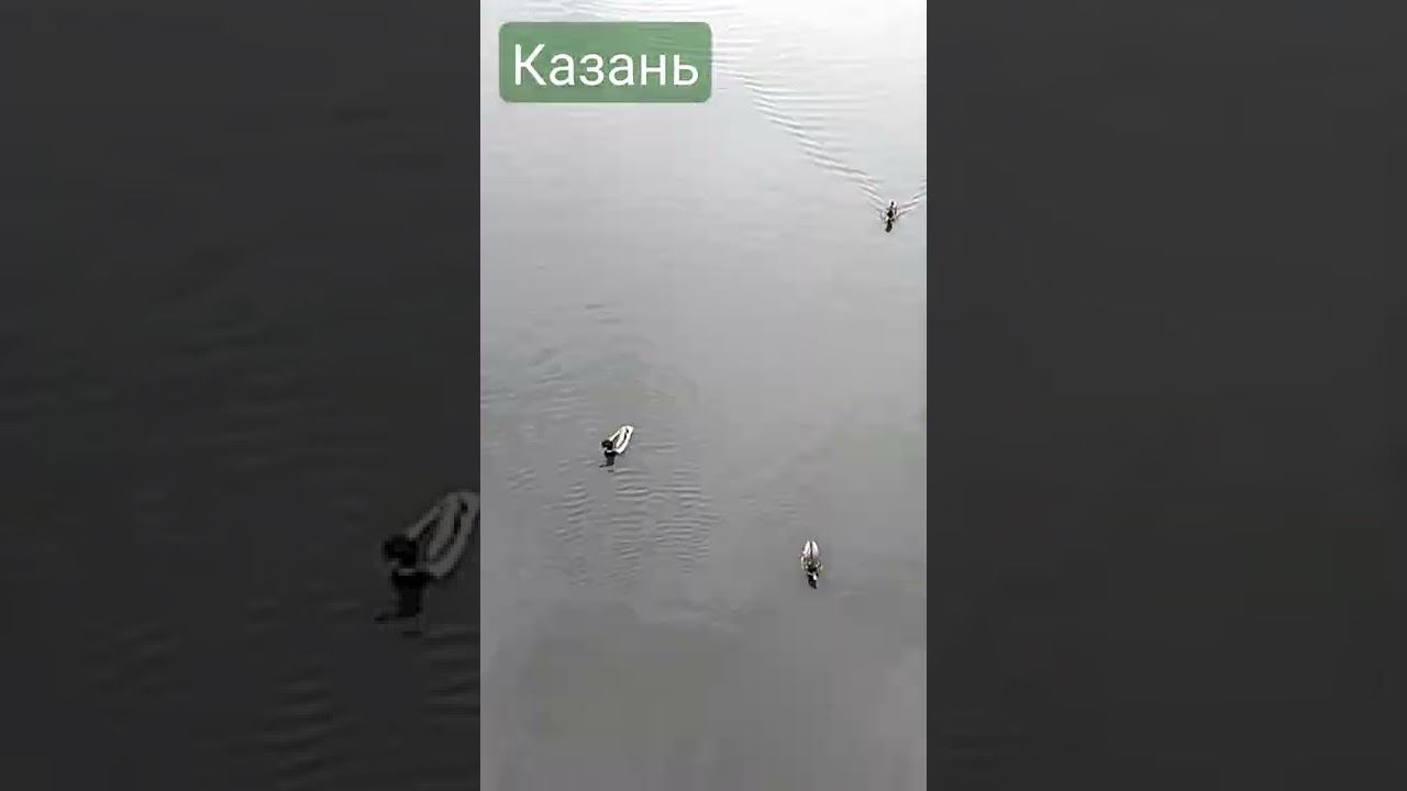 Хищники на воде. Это город Казань. смотреть онлайн