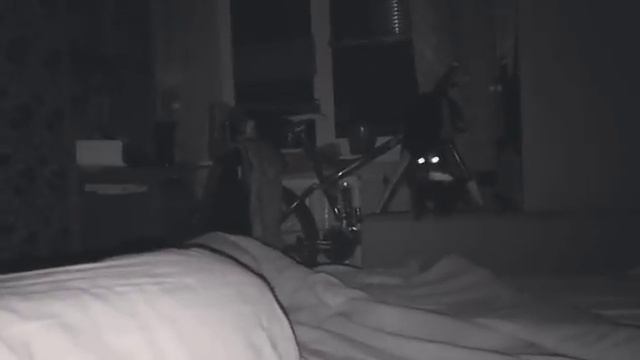 Кошка приносит мишь. смотреть онлайн