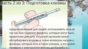 Как поставить коту клизму домашних условиях