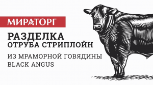 Разделка отруба Стриплойн из мраморной говядины Black Angus