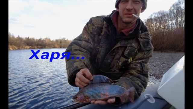 Осенняя рыбалка на хариуса. смотреть онлайн