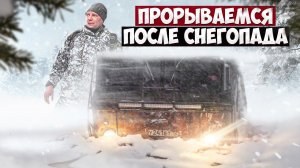 ДОРОГУ ЗАСЫПАЛО СНЕГОМ, ПРОРЫВАЕМСЯ НА УЧАСТОК.  Погибли все щенки на пасеке.