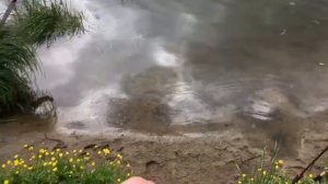 Путешествие по малым рекам южного Подмосковья | Июнь 2017 | Спиннинг. Включаем 1080р и наслаждаемся