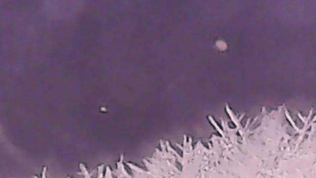 Accelerated growth (about 675 times) of a mold (Mucor) смотреть онлайн