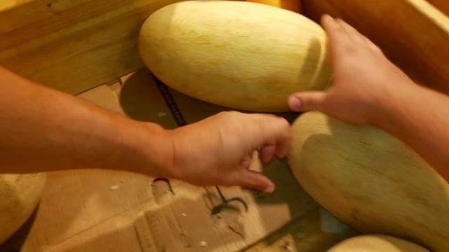 Сочи, ГМ Магнит смотреть онлайн