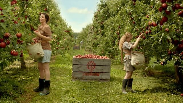 Strongbow: Hand Picked by Hand - 'Tall and Short' смотреть онлайн