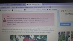 ТОМАТ - ЛЕГЕНДА "ЮСУПОВСКИЙ". ОБЗОР. Ольга Чернова.