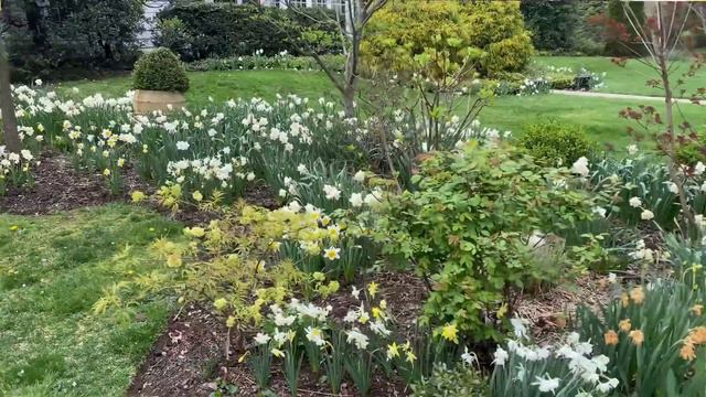 🌸 What's Blooming Now - May 2023 🌸