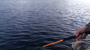 Купательный Обзор Спиннинга MAXIMUS AXIOM 5-15тест180длинна