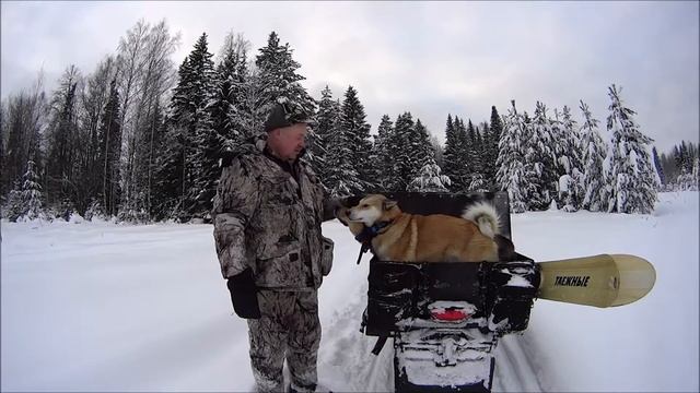 Собаку на охоту не кормят смотреть онлайн