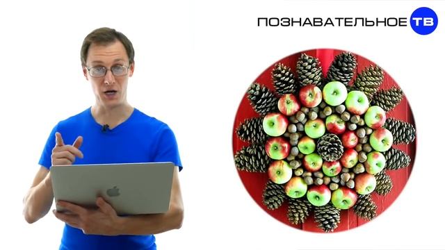 Почему мы украшаем ЁЛКУ на НОВЫЙ ГОД? (Познавательное ТВ, Артём Войтенков) смотреть онлайн