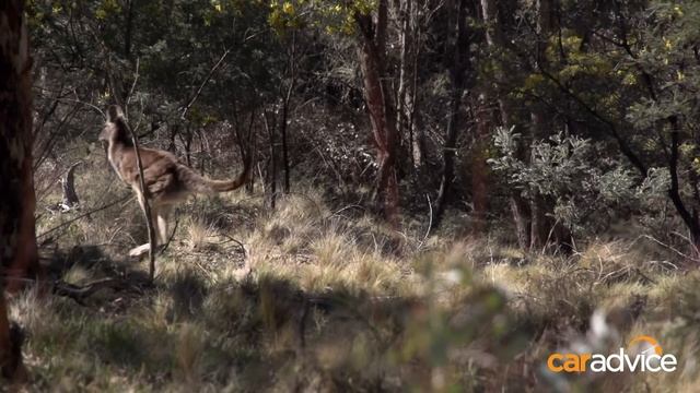 2015 Land Rover Defender 110 Review : Off Road Icon смотреть онлайн