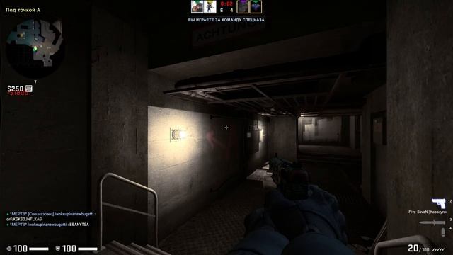 I'm back / CS: GO смотреть онлайн