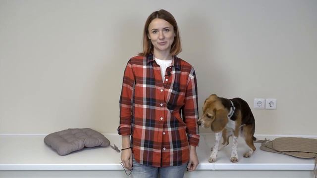 Приглашение на мастер-класс _Как воспитать щенка правильно__ смотреть онлайн