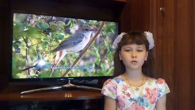 Виктория Лопатина басня Крылова "Кошка и соловей" смотреть онлайн