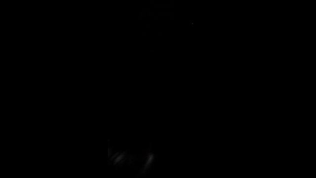 My Doberman Remi Leading!! смотреть онлайн