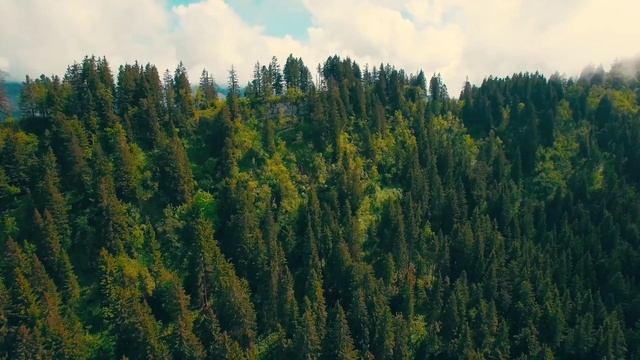 relax,meditation, yoga. звуки природы, релакс медитация, звуки леса смотреть онлайн