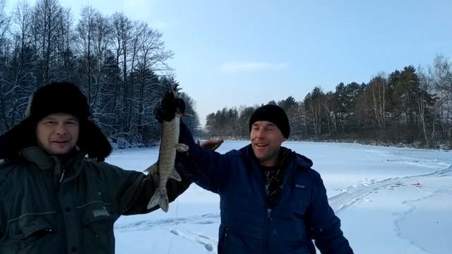 Ловля щуки на жерлицы. Перволёдье. Первая щука зимой. смотреть онлайн