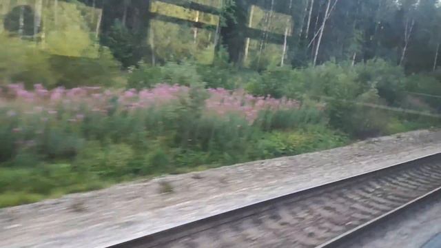 Вологодская обл на электричке забытая Средняя полоса России смотреть онлайн