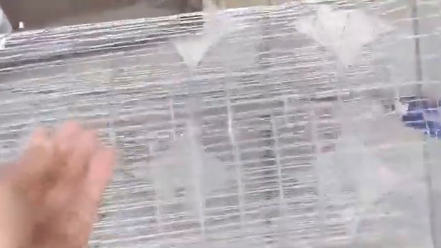 Сделай Себя Лучше