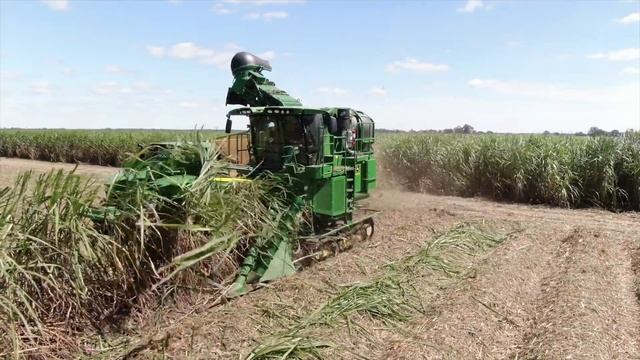 2020 Louisiana Sugar Cane Grinding Has Begun! смотреть онлайн