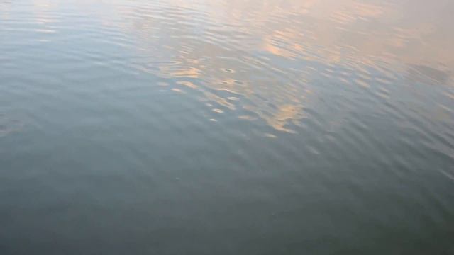 Ловля Сазана на Лебедя Часть 2 р. Крынка г. Харцызск ДНР смотреть онлайн