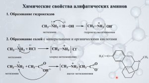 Азотсодержащие соединения: Амины