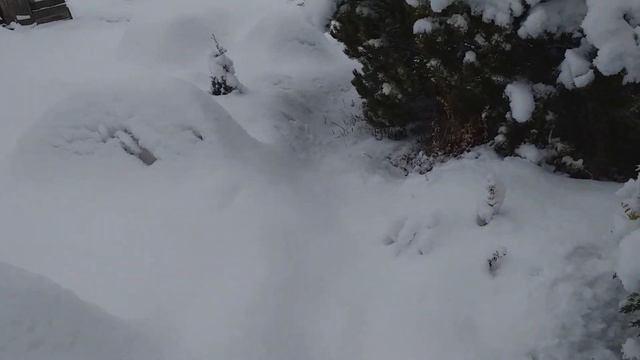 Новый Год наступил с охапками снега! смотреть онлайн