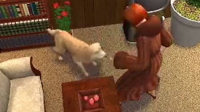The Sims 2 Pets - 1 смотреть онлайн