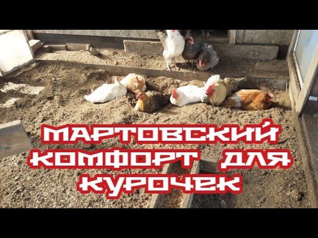 Комфортное содержание кур на зимнем выгуле... смотреть онлайн