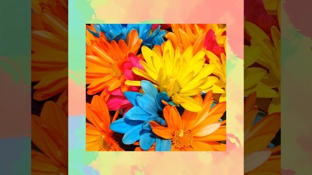 Groovy Music for Instrumental Booster смотреть онлайн