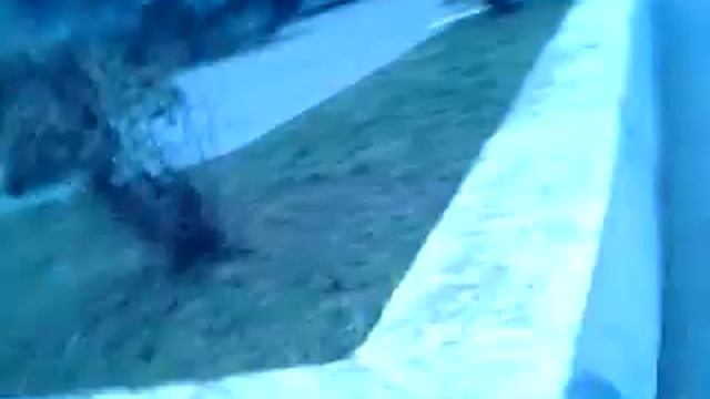 Дохлый,серия 1 смотреть онлайн