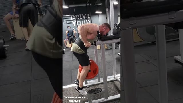 Отжимание на брусьях с весом смотреть онлайн