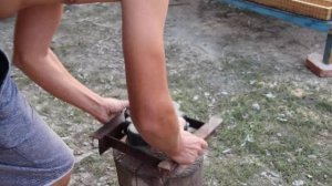 Как выбить тротуарную плитку из формы