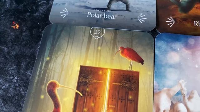 Divine Animals Oracle смотреть онлайн