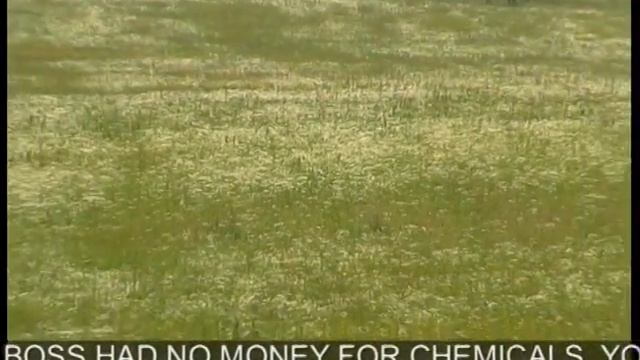 08 Структурированная вода Сельское хозяйство