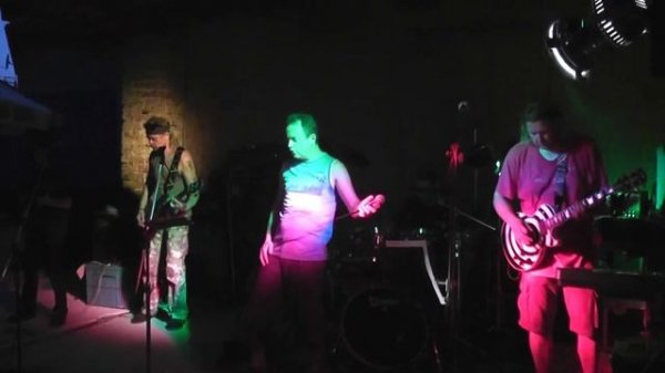 Quercus - Mraveneček