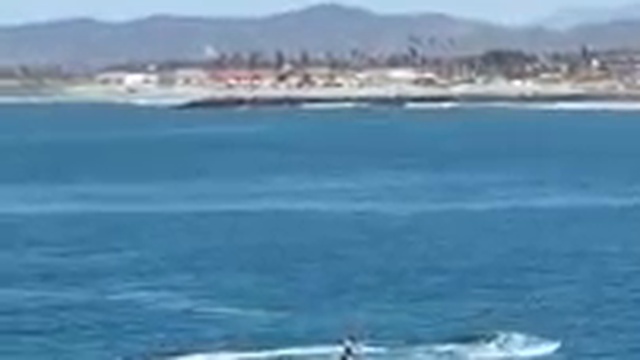 Американец чуть не столкнулся с китом смотреть онлайн