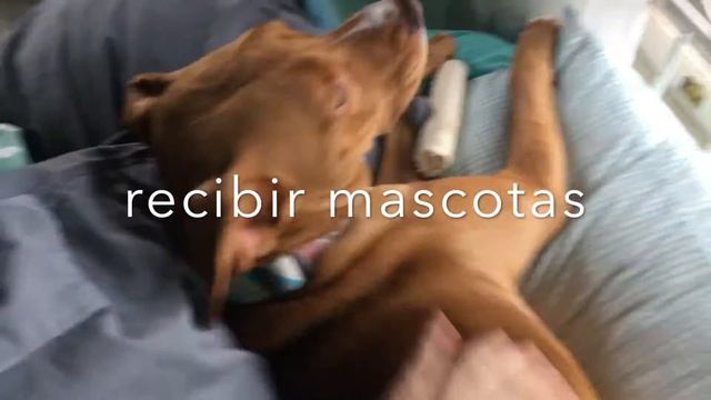 Odis en Espanol смотреть онлайн