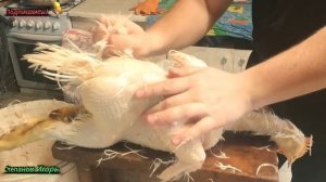 Бройлеры Ощип за 5 Минут Как Правильно Ошпарить Бройлера