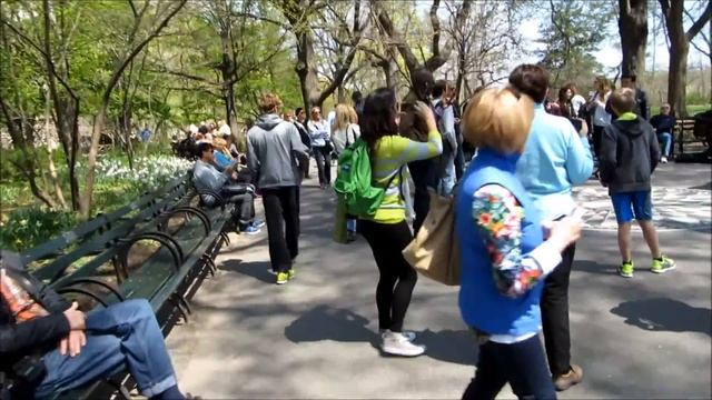 NYC-9. Нью-Йорк. Центральный парк смотреть онлайн