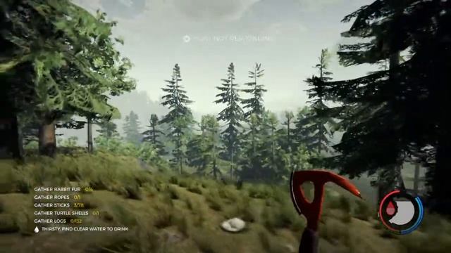 Fast forwarding Time Glitch The Forest_2018 смотреть онлайн