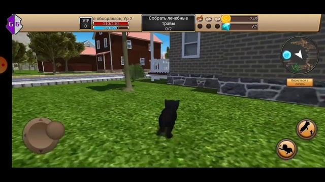 Cat Simulator-Animal Life ВЗЛОМ МОНЕТ смотреть онлайн